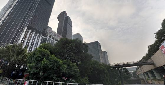 Shenzhen Office
