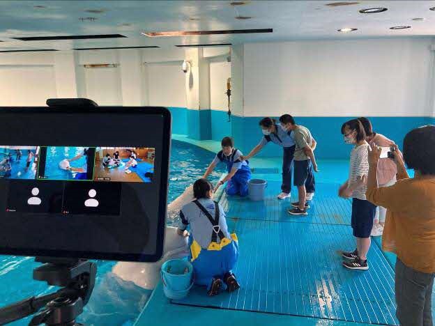 ICTでつなぐ特別支援学校と海・水族館 　～来館困難者のための海を学ぶ遠隔プログラムの開発と実践